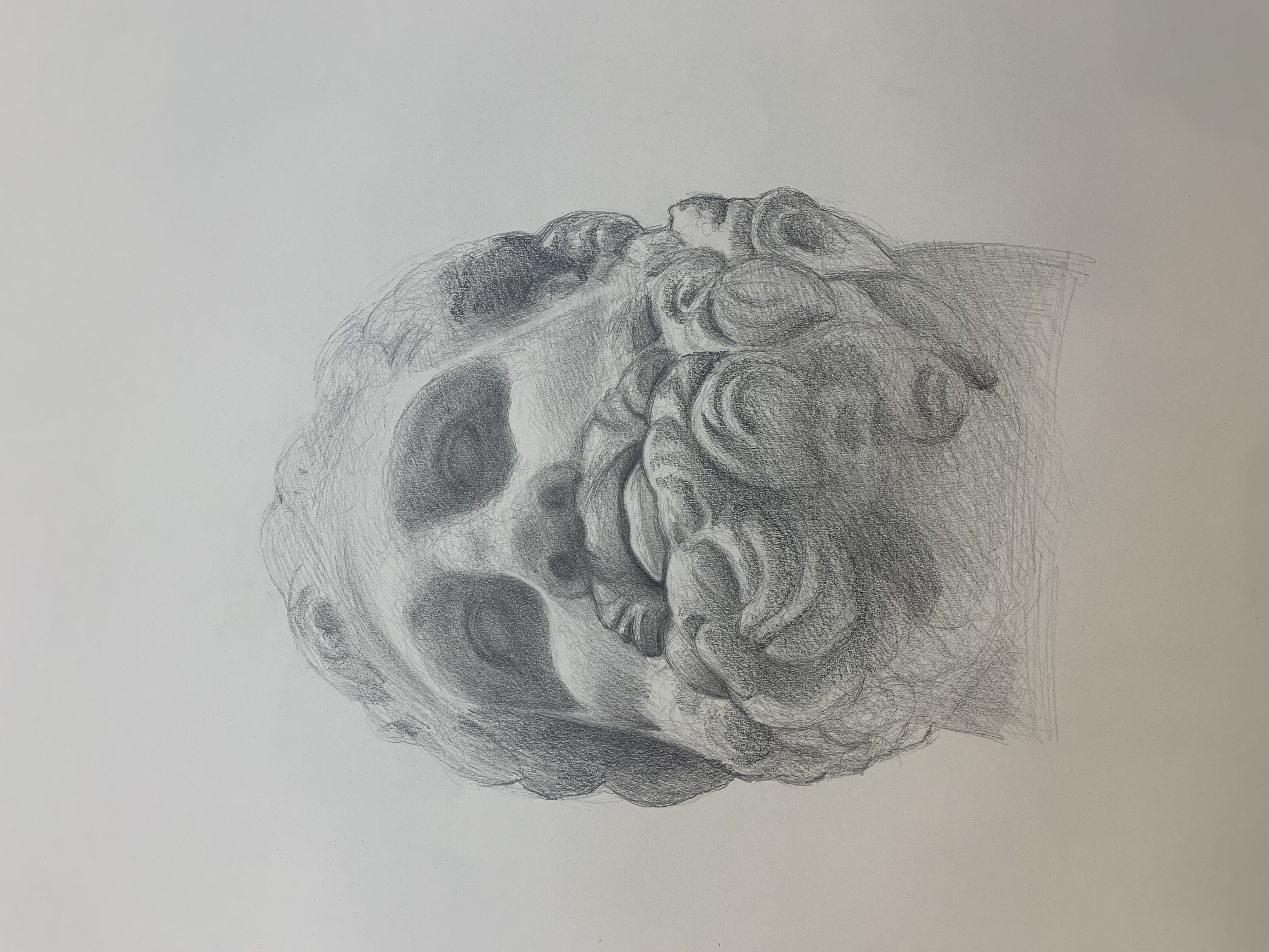 Untitled Study